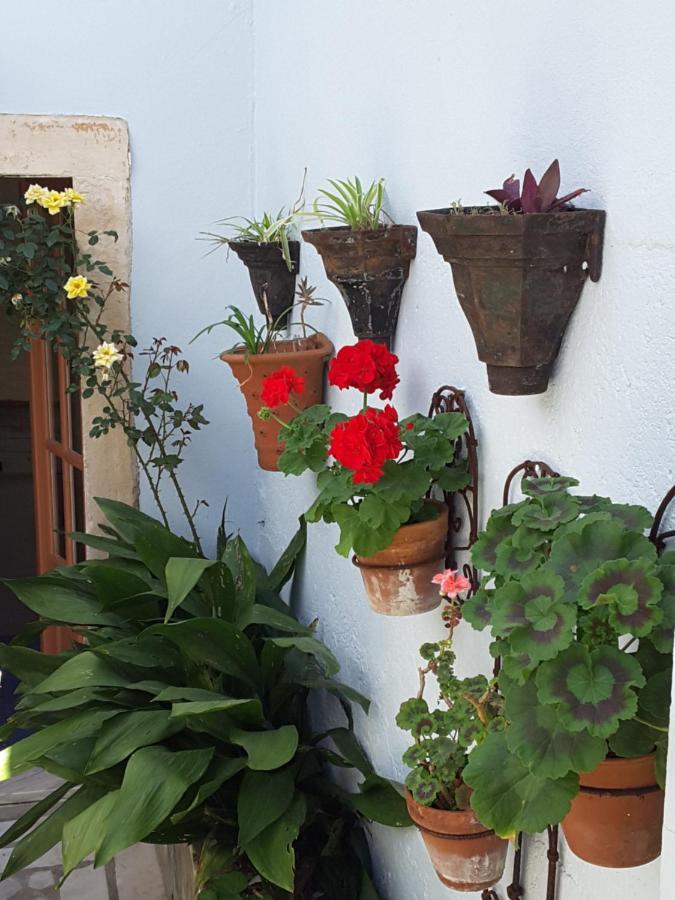 Rua Das Rosas 22/B&B Figueira da Foz Esterno foto